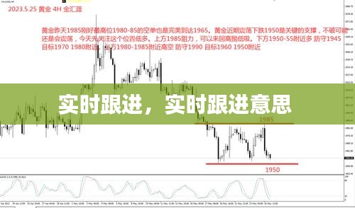 实时跟进，实时跟进意思 
