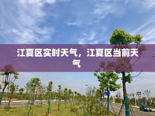 江夏区实时天气，江夏区当前天气 