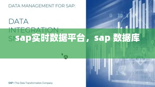 sap实时数据平台，sap 数据库 