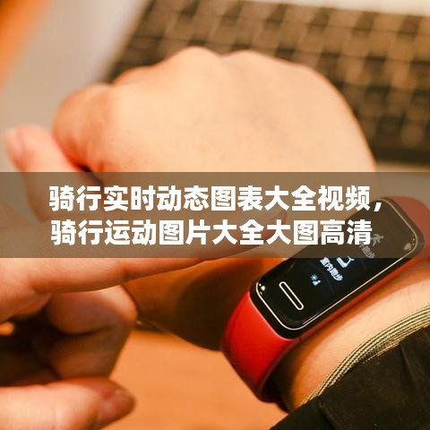 骑行实时动态图表大全视频，骑行运动图片大全大图高清 