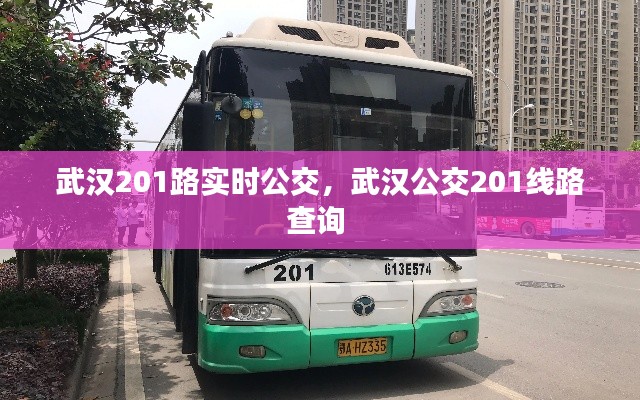 武汉201路实时公交，武汉公交201线路查询 