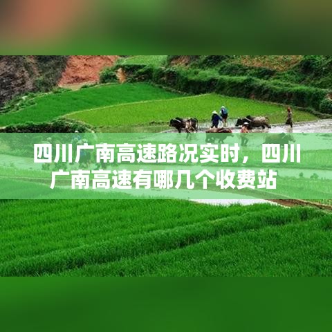 四川广南高速路况实时，四川广南高速有哪几个收费站 
