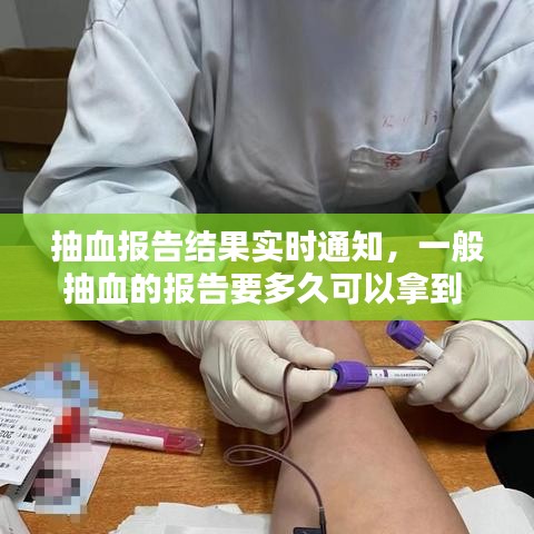 彬彬有礼 第2页