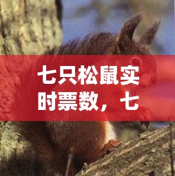 七只松鼠实时票数，七只小松鼠图片 