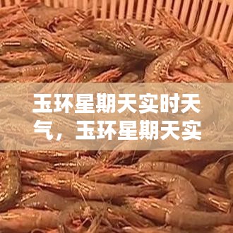 物以希为贵 第3页