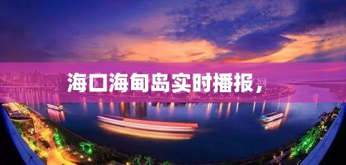 海口海甸岛实时播报， 