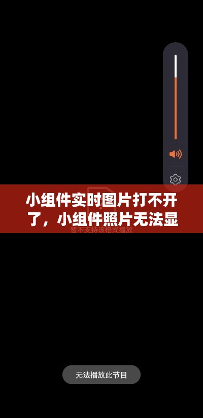 小组件实时图片打不开了，小组件照片无法显示 