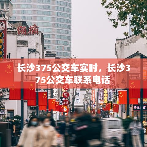 长沙375公交车实时，长沙375公交车联系电话 