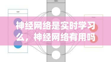 神经网络是实时学习么，神经网络有用吗 