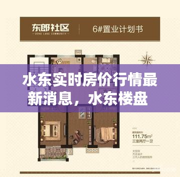 水东实时房价行情最新消息，水东楼盘 