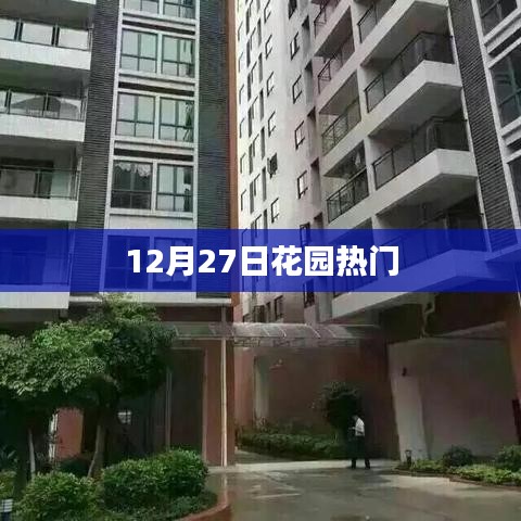花园热门风采，12月27日一瞥