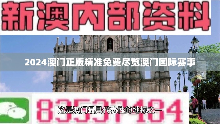 2024澳门正版精准免费尽览澳门国际赛事