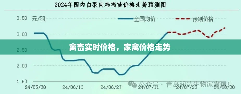 禽畜实时价格，家禽价格走势 