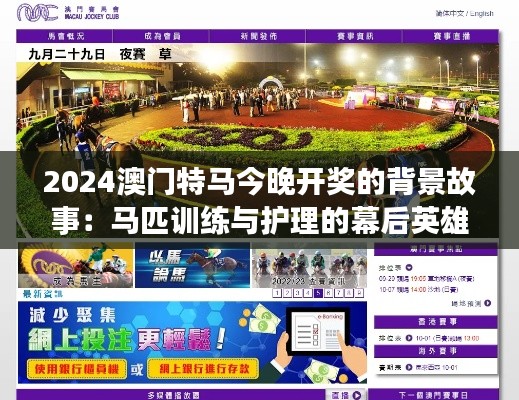 2024澳门特马今晚开奖的背景故事：马匹训练与护理的幕后英雄