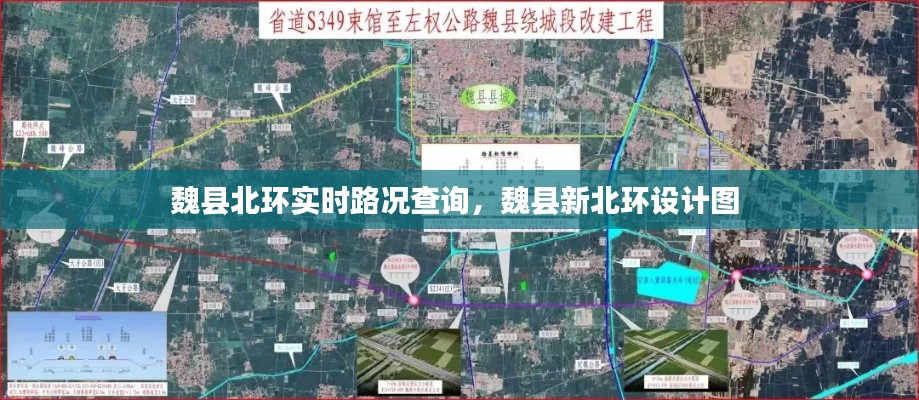惊弓之鸟 第3页