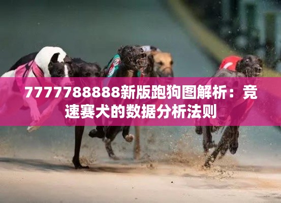 7777788888新版跑狗图解析：竞速赛犬的数据分析法则