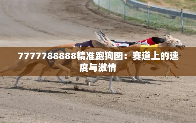 7777788888精准跑狗图：赛道上的速度与激情