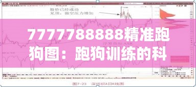 井底之蛙 第3页