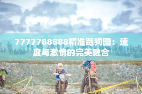 7777788888精准跑狗图：速度与激情的完美融合