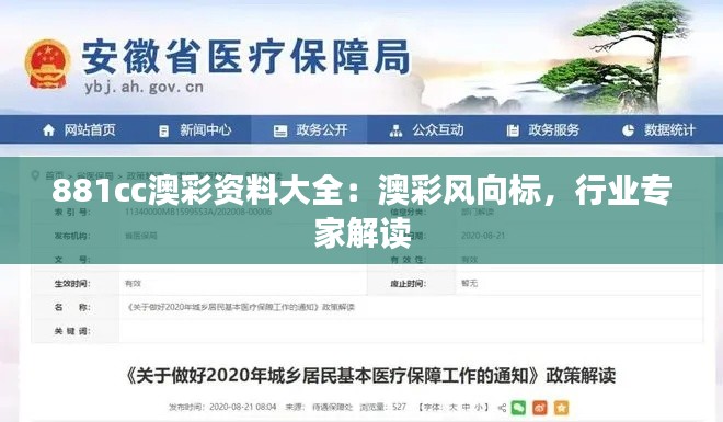 881cc澳彩资料大全：澳彩风向标，行业专家解读