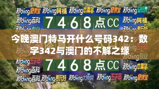 今晚澳门特马开什么号码342：数字342与澳门的不解之缘