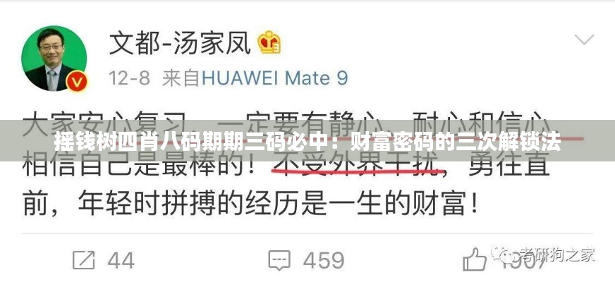 摇钱树四肖八码期期三码必中：财富密码的三次解锁法