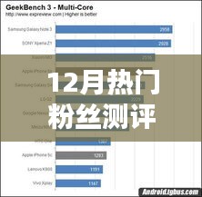 粉丝测评大揭秘，热门榜单出炉！