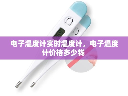 电子温度计实时温度计，电子温度计价格多少钱 