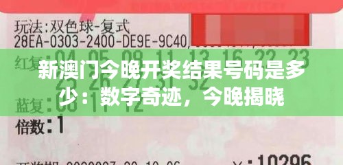 新澳门今晚开奖结果号码是多少：数字奇迹，今晚揭晓