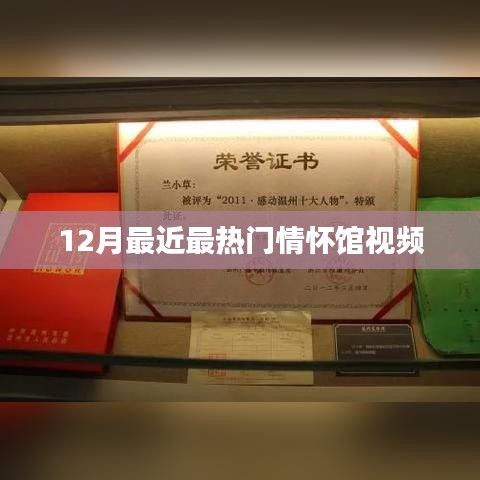 12月热门情怀馆视频盘点