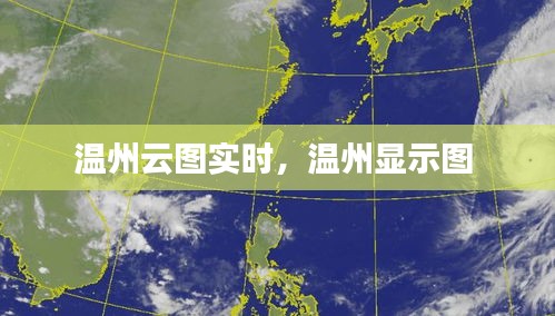 温州云图实时，温州显示图 