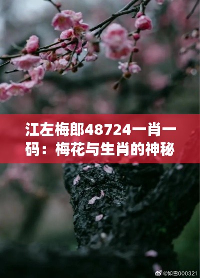 江左梅郎48724一肖一码：梅花与生肖的神秘联结