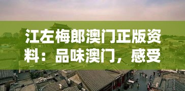 江左梅郎澳门正版资料：品味澳门，感受江左梅郎魅力