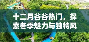 十二月谷谷热门探索冬季独特魅力