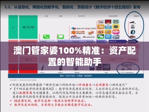 澳门管家婆100%精准：资产配置的智能助手
