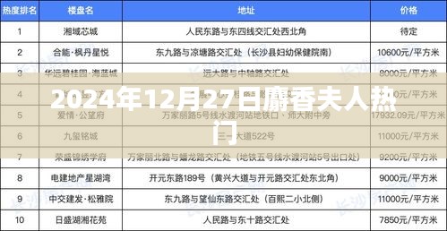 麝香夫人引爆热点，2024年12月27日瞩目时刻