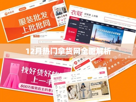 12月热门拿货网深度剖析