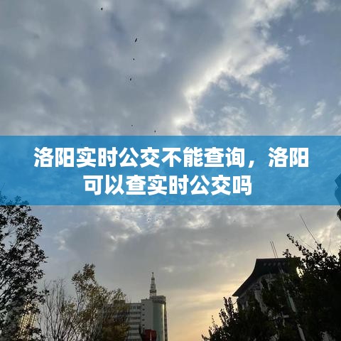 洛阳实时公交查询故障