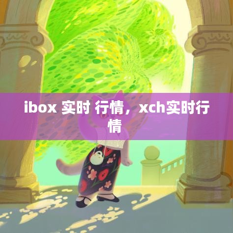 ibox 实时 行情，xch实时行情 
