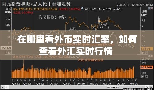 在哪里看外币实时汇率，如何查看外汇实时行情 
