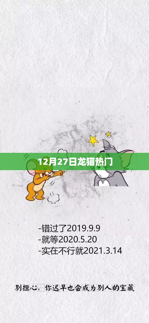 龙猫12月27日持续火热
