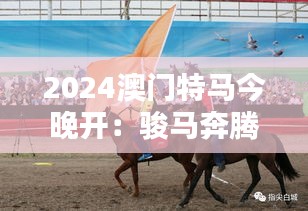 2024澳门特马今晚开：骏马奔腾的激情夜晚