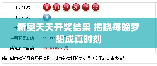 新奥天天开奖结果 揭晓每晚梦想成真时刻