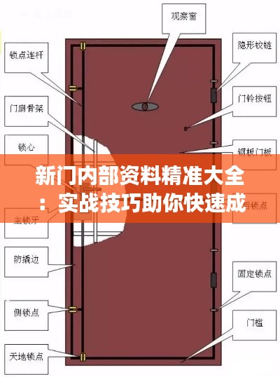 新门内部资料精准大全：实战技巧助你快速成长秘籍
