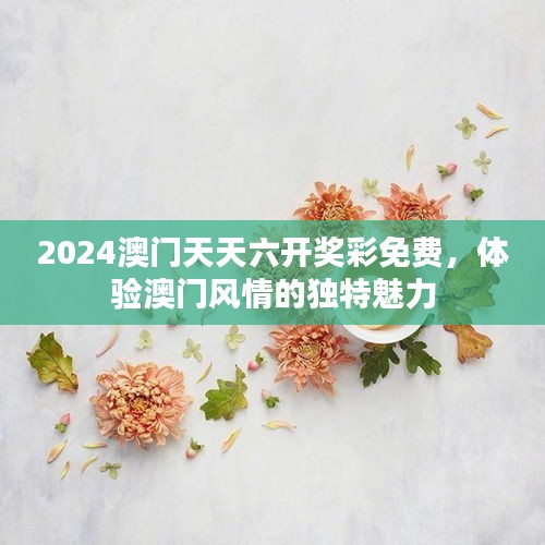 2024澳门天天六开奖彩免费，体验澳门风情的独特魅力