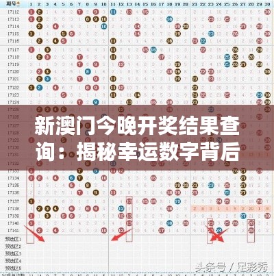新澳门今晚开奖结果查询：揭秘幸运数字背后的玄机
