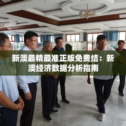 新澳最精最准正版免费结：新澳经济数据分析指南