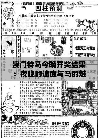 澳门特马今晚开奖结果：夜晚的速度与马的魅力