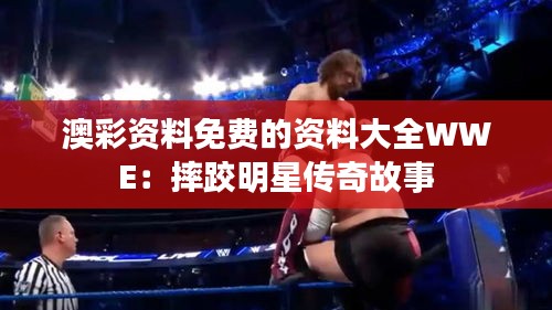 澳彩资料免费的资料大全WWE：摔跤明星传奇故事