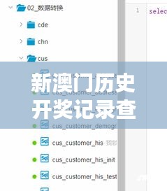 新澳门历史开奖记录查询方法：揭秘历史数据的钥匙